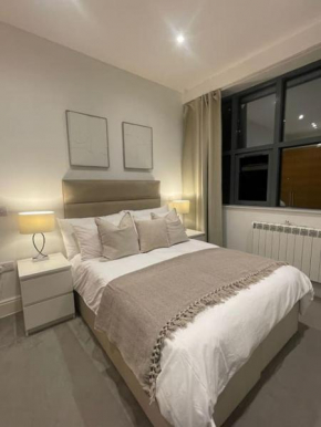 Apartment 30 minutes to central London